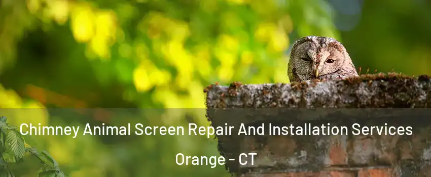  Chimney Animal Screen Repair And Installation Services Orange - CT