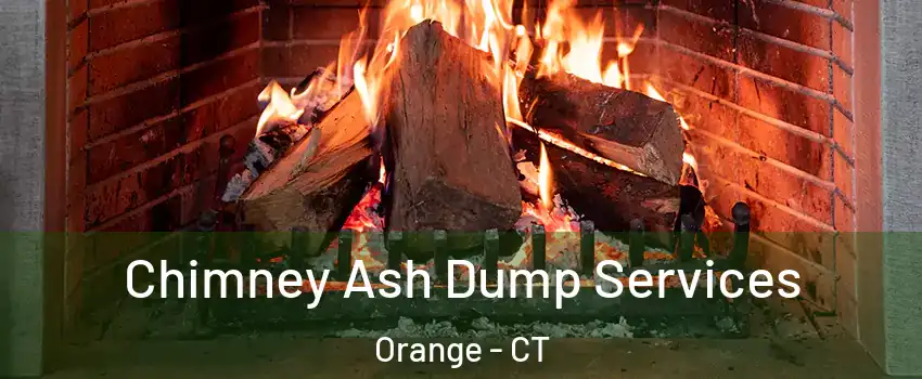  Chimney Ash Dump Services Orange - CT