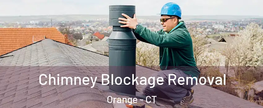  Chimney Blockage Removal Orange - CT