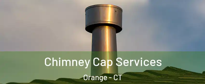  Chimney Cap Services Orange - CT