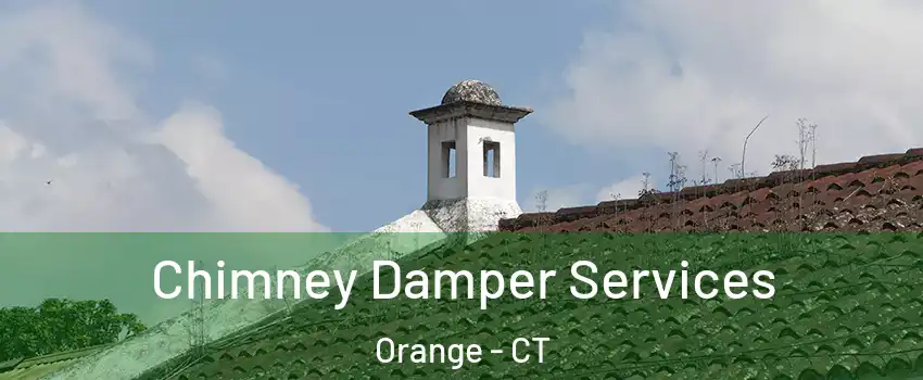  Chimney Damper Services Orange - CT