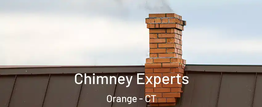Chimney Experts Orange - CT