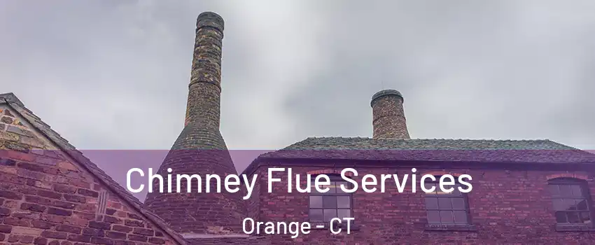  Chimney Flue Services Orange - CT