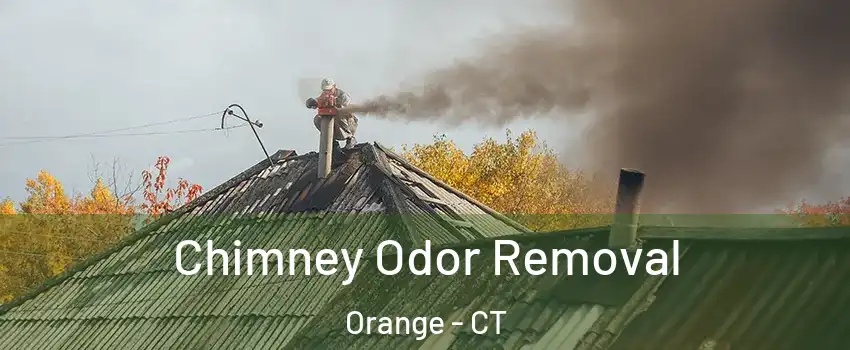 Chimney Odor Removal Orange - CT