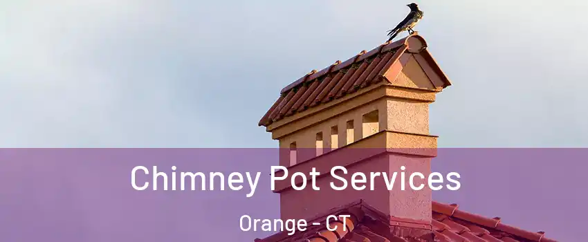  Chimney Pot Services Orange - CT