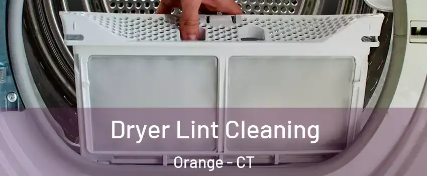  Dryer Lint Cleaning Orange - CT