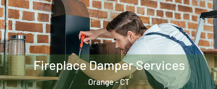  Fireplace Damper Services Orange - CT