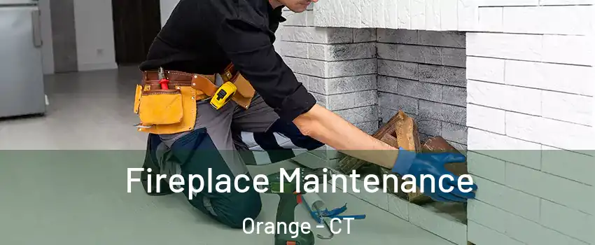  Fireplace Maintenance Orange - CT