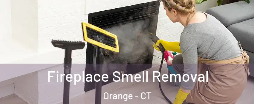  Fireplace Smell Removal Orange - CT