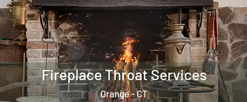  Fireplace Throat Services Orange - CT