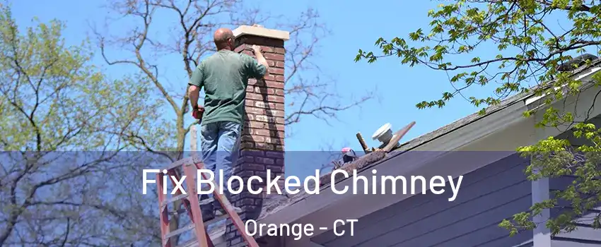  Fix Blocked Chimney Orange - CT