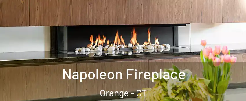  Napoleon Fireplace Orange - CT
