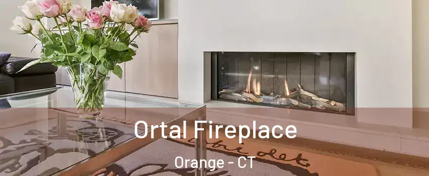 Ortal Fireplace Orange - CT