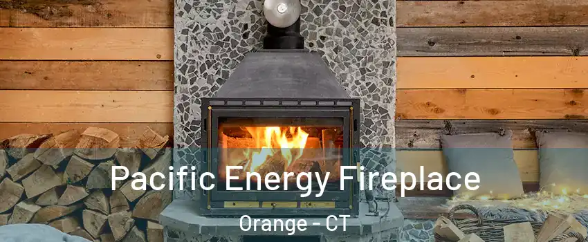  Pacific Energy Fireplace Orange - CT